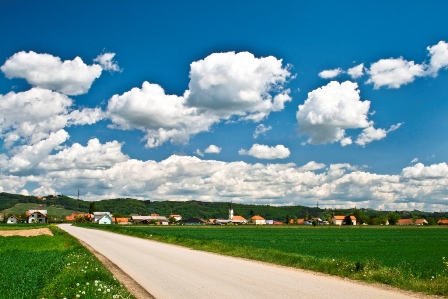 Foto: Boštjan Selinšek