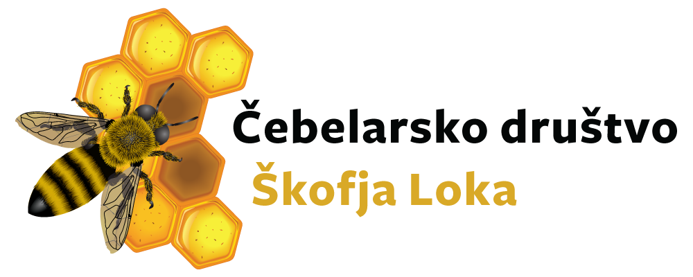 ČD Škofja Loka